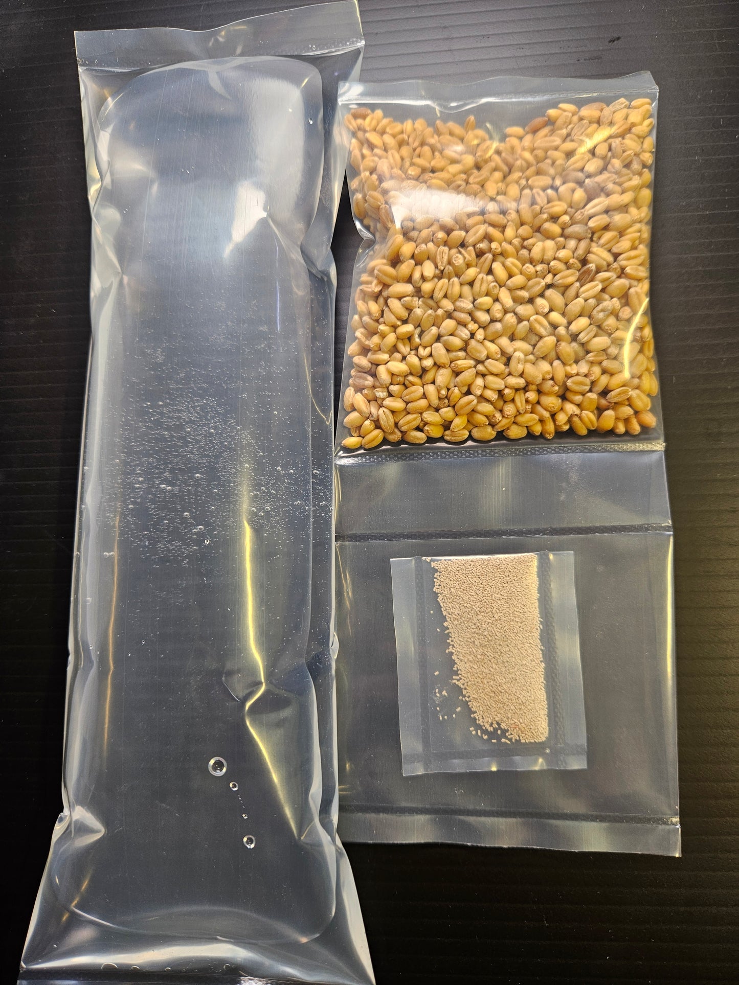 Paramecium Culture Kit