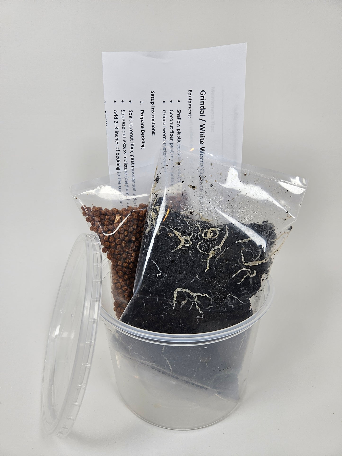 White Worm Culture Kit